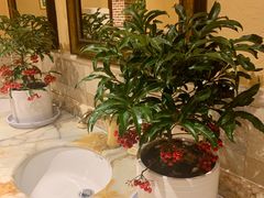 -巴依老爷·新疆美食(上城区天城路店)