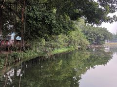 -荔湾湖公园