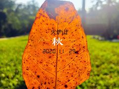 -火炉山森林公园
