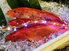 -蒸気海鮮