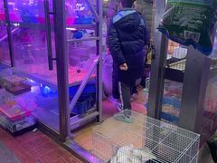 -花鸟鱼虫鲜花绿植市场(玉泉路店)