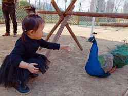 -萌宠亲子动物乐园(槐房万达店)