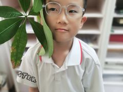 -青聪儿童眼镜(五官科医院宝庆路店)