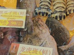 -大茄来海鲜餐厅(亚洲城分行)