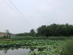 -大兴滨河森林公园