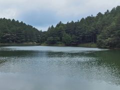 -四明山国家森林公园