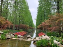 -东平国家森林公园