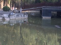 -西安市长乐公园