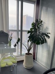 -凡碧诗毛孔清洁收细