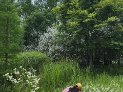 -昆山城市生态森林公园