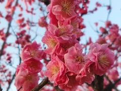 -灞河西岸滨河公园