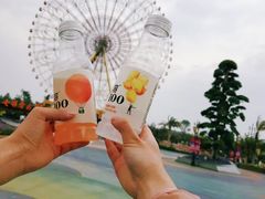 -七彩云南欢乐世界