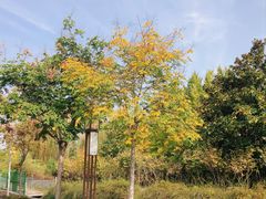 -洛阳市隋唐城遗址植物园