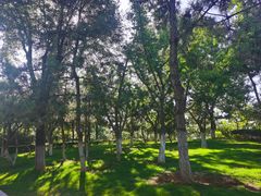 -济南国际园博园