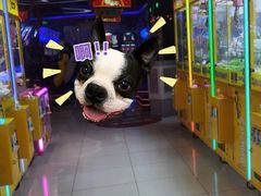 -风云再起游乐汇(皇城恒隆广场店)