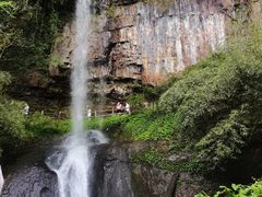 -龙苍沟森林公园