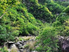 -洛阳白云山景区