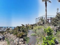 -Cafe Aewol Monsant