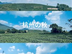 -龙坞茶村