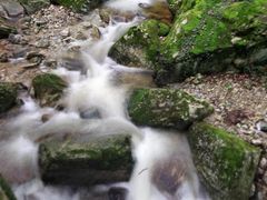 -牛背梁国家森林公园