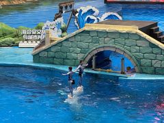 -海合安成都极地海洋公园