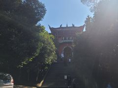 -铁山坪森林公园