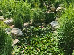 -燕郊植物园