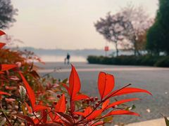 -宝界山林公园