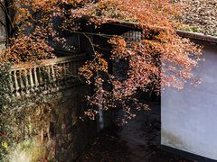-北山街历史文化街区