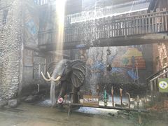 -呀路古热带植物园