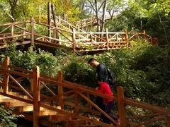 -大岭沟猕猴桃谷风景区