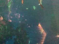 -海棠湾洲际-涛·海底餐厅·美人鱼·自助餐·海底隧道