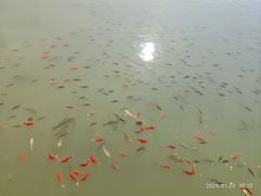 -黑龙潭公园