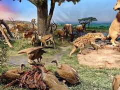 -国家自然博物馆