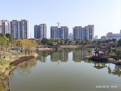 -王借岗森林公园