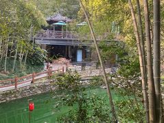 -十八棵（老龙井）御茶园(老龙井店)
