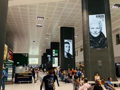 -米兰马尔彭萨国际机场