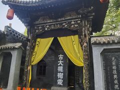 -大槐树寻根祭祖园