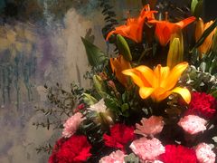 -弦月窗LUNETTE BY AMANDA(复兴路店)