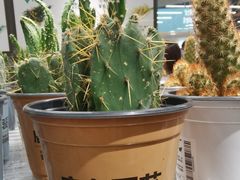 -鹿岛生活(熙地港店)