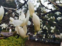 -陕西师范大学(雁塔校区)