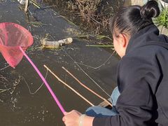 -同銮特种养殖场·龙虾垂钓