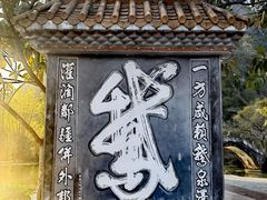 -靖西鹅泉风景区