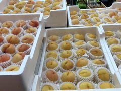 -叁宫礼水果批发仓储店(梅江店)
