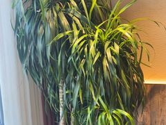 -慢丽江·云南野生菌土鸡锅(付家庄店)