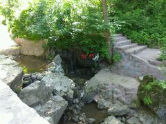 -天女山森林公园
