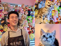 -三花喵·撸猫购宠·宠物生活馆(虹桥南丰城店)