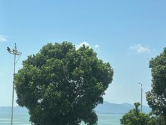-美味之家·湖景农家乐(太湖东山店)