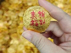 -龙华素斋(龙华路店)