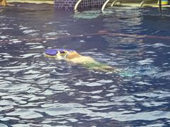 -酷游亲子游泳中心